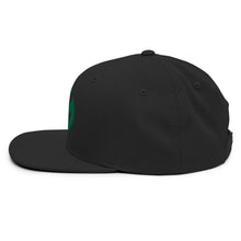 Load image into Gallery viewer, Partner.Co | Green Circle Logo| Snapback Hat