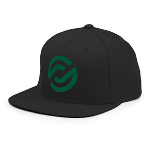 Partner.Co | Green Circle Logo| Snapback Hat