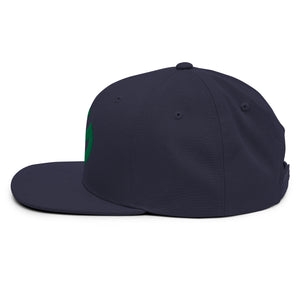 Partner.Co | Green Circle Logo| Snapback Hat