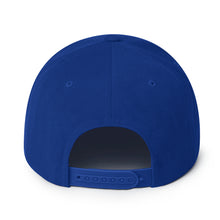 Load image into Gallery viewer, Partner.Co | Ask Me About Skinny Drops Asking For Help Is Ok Logo| Snapback Hat
