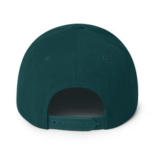 Load image into Gallery viewer, Partner.Co | Green Tall Logo | Snapback Hat
